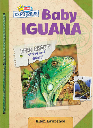 Active Minds Explorers: Baby Iguana by Ellen Lawrence, 9781649969804