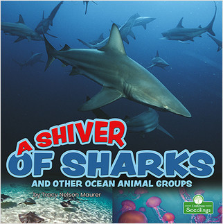 A Shiver of Sharks and Other Ocean Animal Groups by Tracy Nelson Maurer, 9781039661820