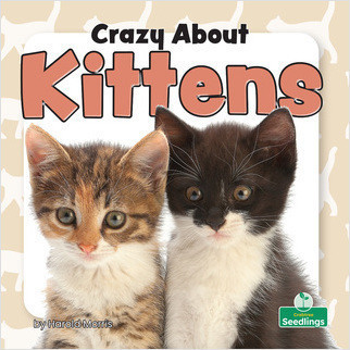Crazy About Kittens by Harold Morris, 9781039644915