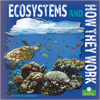 Ecosystems and How They Work by Julie K. Lundgren, 9781039661868