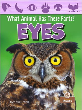 Eyes - 9781039646315 by Amy Culliford, 9781039646315