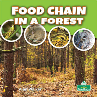 Food Chain in a Forest by Alan Walker, Amy Culliford, 9781427130334