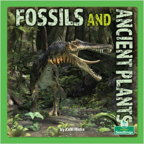Fossils and Ancient Plants - 9781039646704 by Kelli Hicks