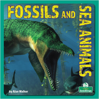 Fossils and Sea Animals - 9781039646728 by Alan Walker, 9781039646728