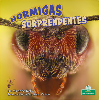 Hormigas sorprendentes (Amazing Ants) - 9781039648111 by Miranda Kelly, 9781039648111