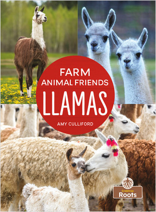 Llamas - 9781039659650 by Amy Culliford, 9781039659650