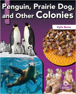 Penguin, Prairie Dog, and Other Colonies by Kylie Burns, 9781039806542