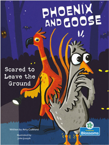 Scared to Leave the Ground by Amy Culliford, John Joseph, John Joseph, 9781039644984
