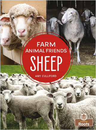 Sheep - 9781427134554 by Amy Culliford, Amy Culliford, Jean-Pierre Gaston, 9781427134554