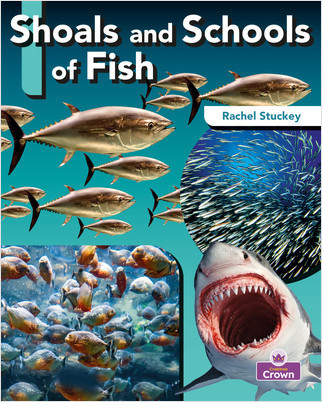 Shoals and Schools of Fish by Rachel Stuckey, 9781039806559