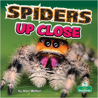 Spiders Up Close - 9781039646568 by Alan Walker, 9781039646568