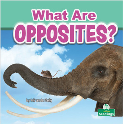 What Are Opposites? by Miranda Kelly, Amy Culliford, 9781427128546