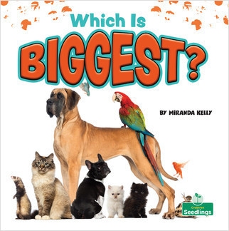 Which Is Biggest? - 9781427128492 by Miranda Kelly, Amy Culliford, 9781427128492
