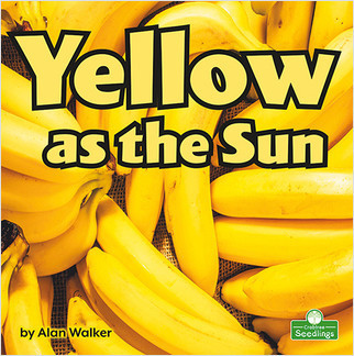 Yellow as the Sun by Alan Walker, 9781039662261