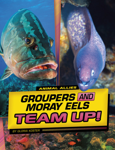 Groupers and Moray Eels Team Up! by Gloria Koster, 9781669048831