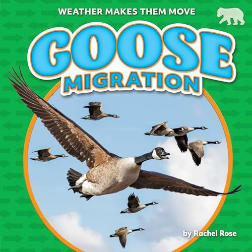 Goose Migration - 9798888220658 by Rachel Rose, 9798888220658