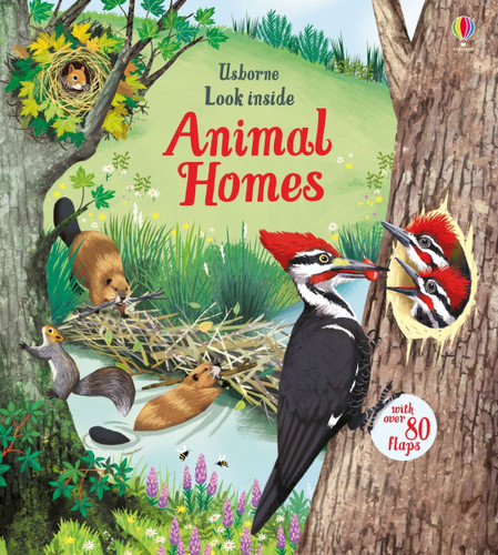 Look Inside Animal Homes by Emily Bone, Maribel Lechuga, 9781805318538