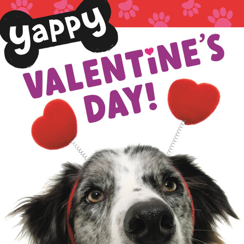 Yappy Valentine's Day! by WorthyKids, 9781546005360