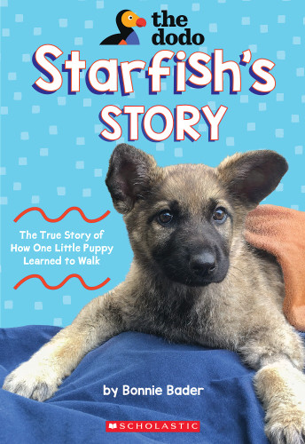 Starfish's Story (The Dodo) by Bonnie Bader, 9781339012414 Starfish's Story (The Dodo) by Bonnie Bader, 9781339012414