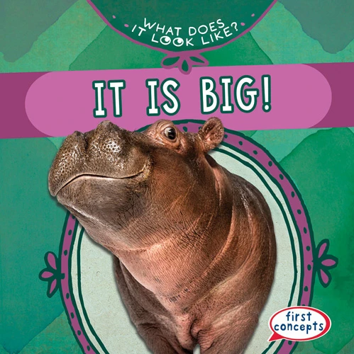 It Is Big! - 9781538284827 by Beth Gottlieb, 9781538284827