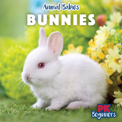 Bunnies - 9781642825046 by Theresa Emminizer, 9781642825046