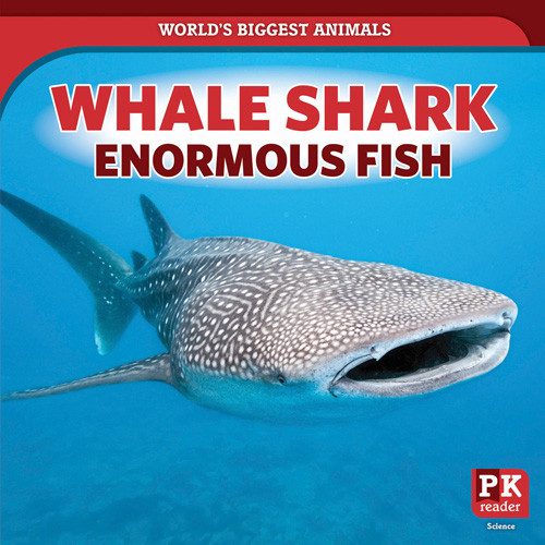 Whale Shark: Enormous Fish by Natalie Humphrey, 9781642825428