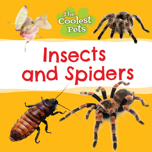Insects and Spiders - 9781534545519 by Anne O'Daly, 9781534545519