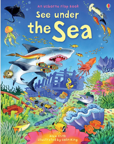 See Under the Sea by Kate Davies, Colin King, 9781805070771