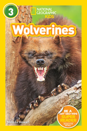 Wolverines (National Geographic Kids Readers, Level 3) by Melissa Stewart, National Geographic Kids, 9781426332227