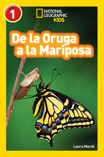 De la Oruga a la Mariposa (Caterpillar to Butterfly) (National Geographic Kids Readers, Nivel 1) by Laura Marsh, 9781426324857
