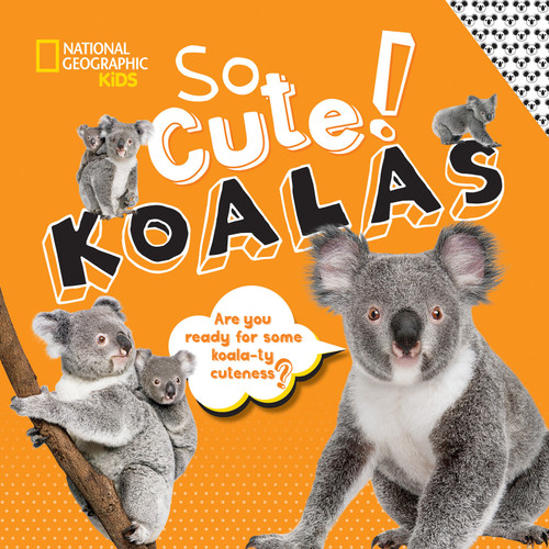 So Cute! Koalas by Crispin Boyer, 9781426335273