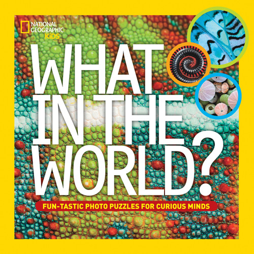 What in the World? (Fun-Tastic Photo Puzzles for Curious Minds) by National Geographic Kids, 9781426315176