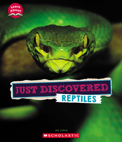 Just Discovered Reptiles (Learn About: Animals) by Jay Leslie, 9781339020419