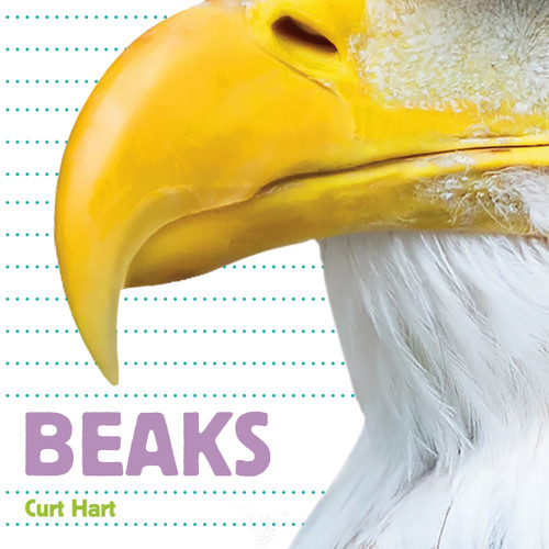 Beaks - 9781486726479 by Curt Hart, 9781486726479