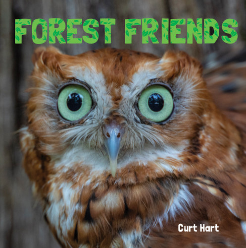 Forest Friends - 9781486724055 by Curt Hart, 9781486724055