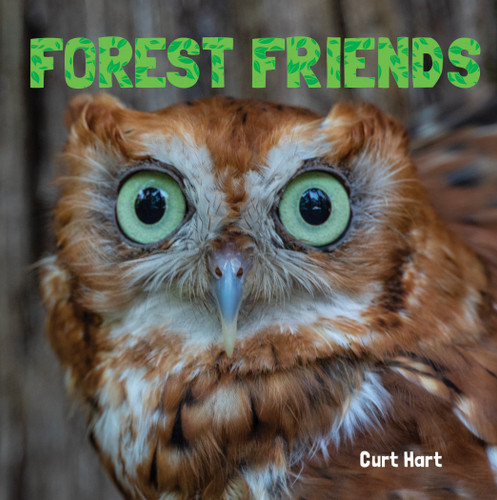 Forest Friends - 9781486725304 by Curt Hart, 9781486725304