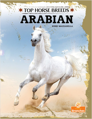 Arabian by Kerri Mazzarella, 9781039809406