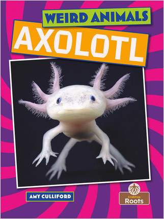 Axolotl - 9781039810365 by Amy Culliford, 9781039810365