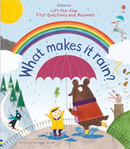 First Questions and Answers: What makes it rain? by Katie Daynes, Christine Pym, 9781805071808