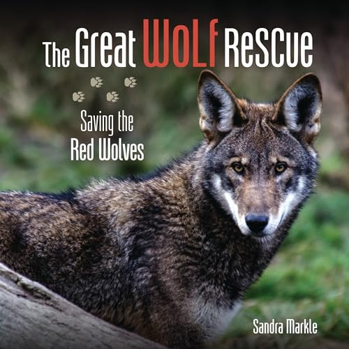 The Great Wolf Rescue (Saving the Red Wolves) by Sandra Markle, 9781728467962