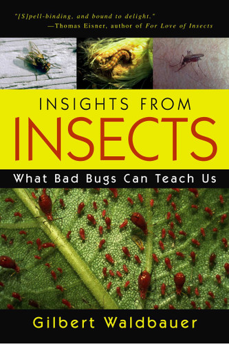 Insights From Insects (What Bad Bugs Can Teach Us) by Gilbert Waldbauer, 9781591022770