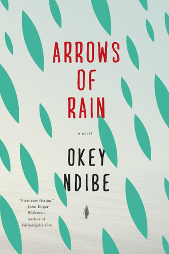 Arrows of Rain by Okey Ndibe, 9781616954574