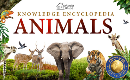 Knowledge Encyclopedia: Animals by Wonder House Books, 9789354403958