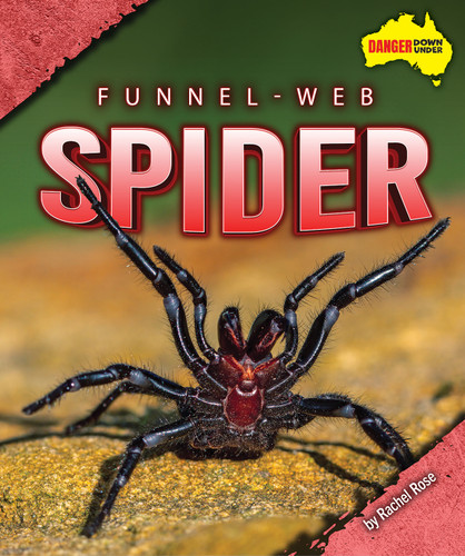 Funnel-Web Spider by Rachel Rose, 9798889165033