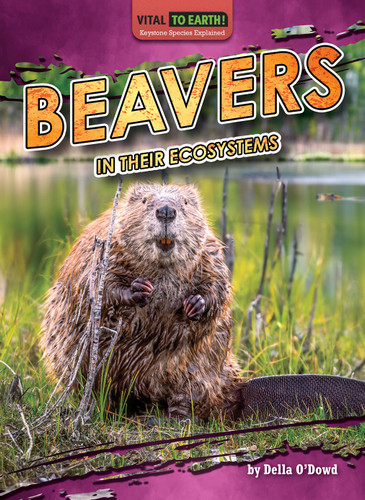 Beavers in Their Ecosystems by Della O'Dowd, 9798889166344
