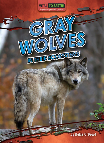 Gray Wolves in Their Ecosystems by Della O'Dowd, 9798889166351