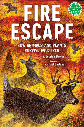 Fire Escape (How Animals and Plants Survive Wildfires) by Jessica Stremer, Michael Garland, 9780823454426