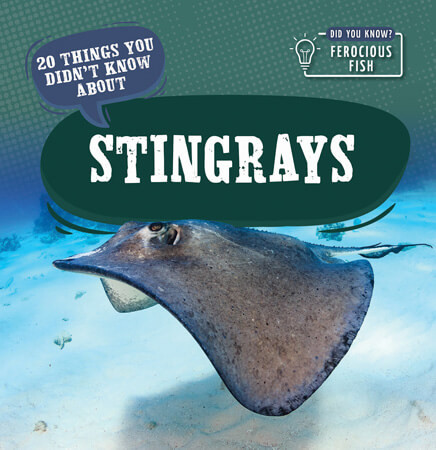 20 Things You Didn't Know About Stingrays by Leonard Clasky, 9781499444353