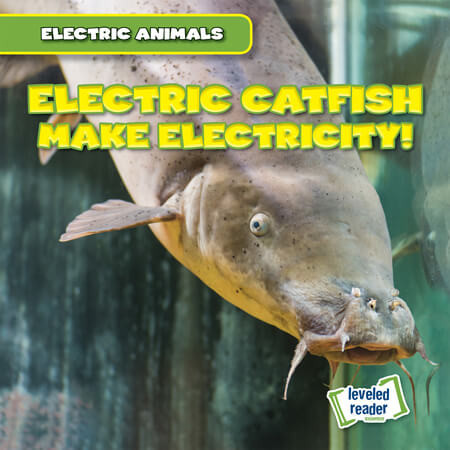 Electric Catfish Make Electricity! - 9781538292914 by Louis Mallory, 9781538292914