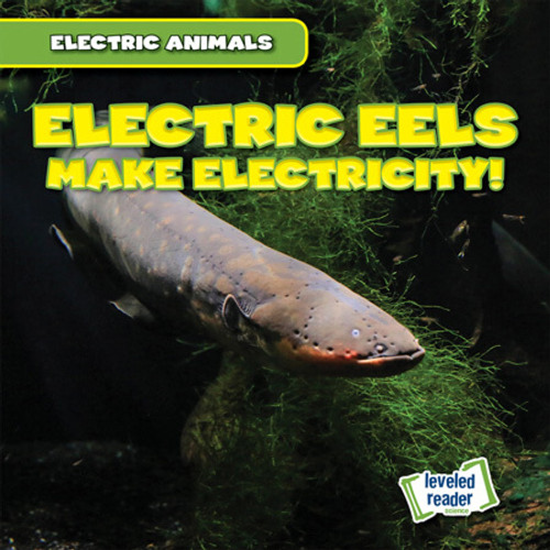 Electric Eels Make Electricity! - 9781538292945 by Louis Mallory, 9781538292945 Electric Eels Make Electricity! - 9781538292945 by Louis Mallory, 9781538292945